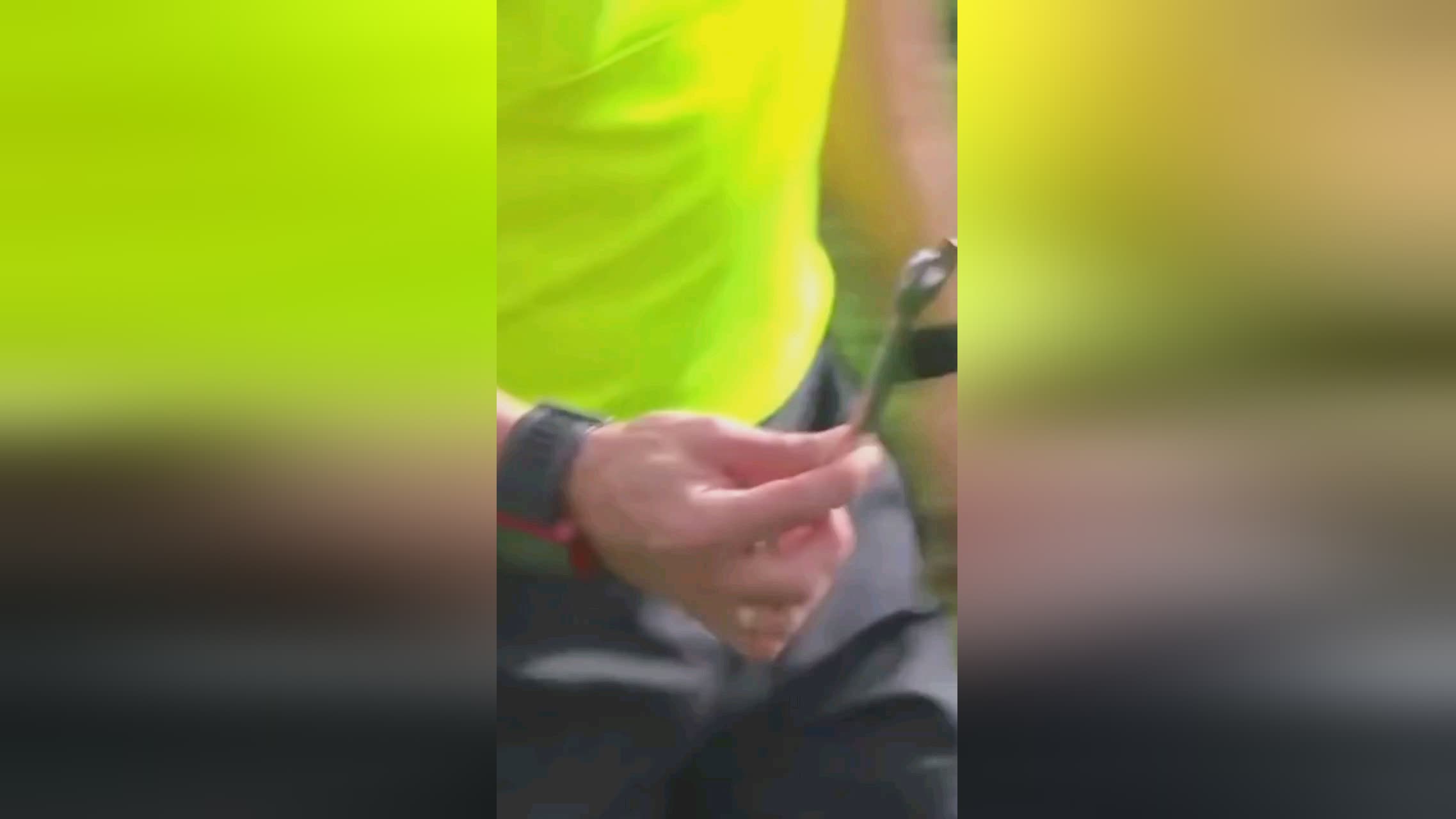 中增添